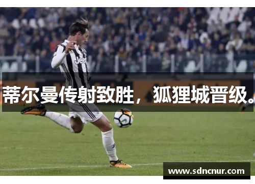 蒂尔曼传射致胜，狐狸城晋级。