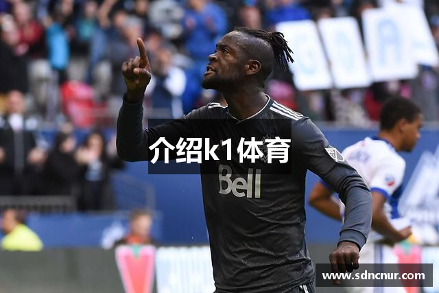 介绍k1体育